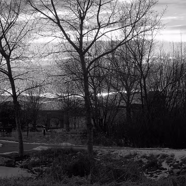 Chapungu Sculpture Park Chapungu Sculpture Park