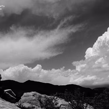 Dagney Simir Hales Dagney Simir Hales