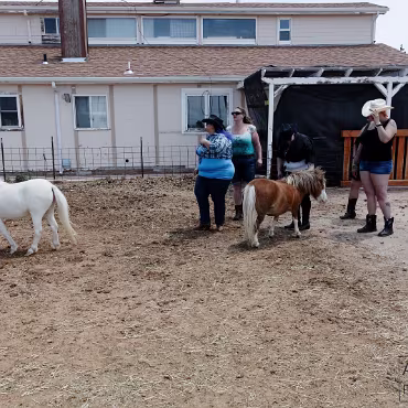 Free Spirit Farm - Shoot Free Spirit Farm - Shoot