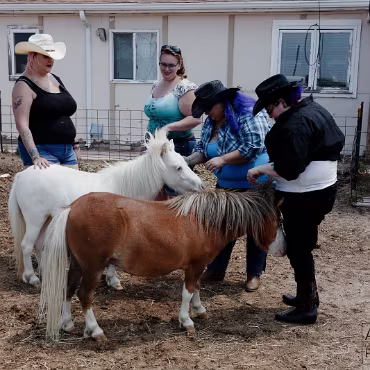 Free Spirit Farm - Shoot Free Spirit Farm - Shoot