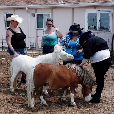 Free Spirit Farm - Shoot Free Spirit Farm - Shoot