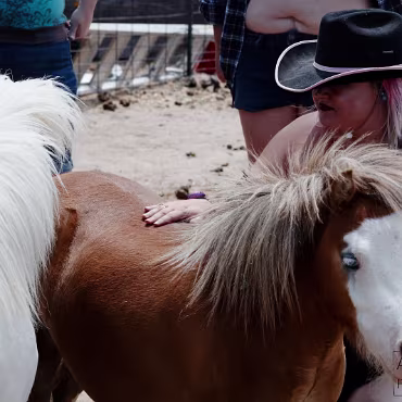 Free Spirit Farm - Shoot Free Spirit Farm - Shoot