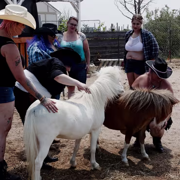 Free Spirit Farm - Shoot Free Spirit Farm - Shoot