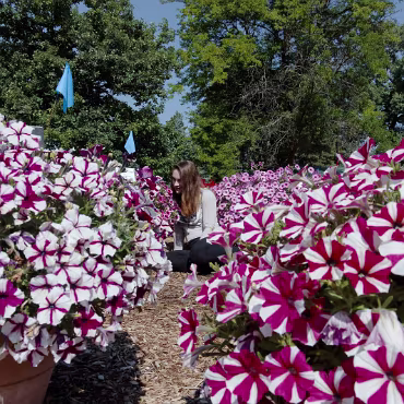 Grace Potter Keller Grace Potter Keller