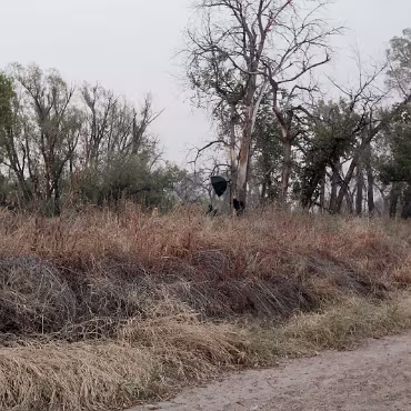 Meetup Fc Sept 2020 09 28 2020 117