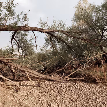 Meetup Fc Sept 2020 09 28 2020 005