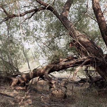 Meetup Fc Sept 2020 09 28 2020 006