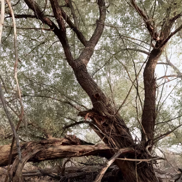 Meetup Fc Sept 2020 09 28 2020 007