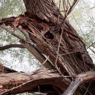 Meetup Fc Sept 2020 09 28 2020 008