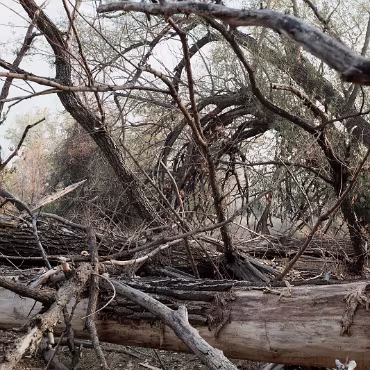 Meetup Fc Sept 2020 09 28 2020 011