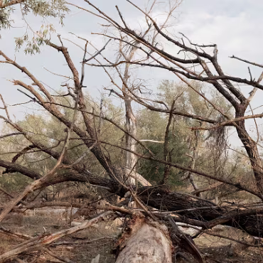 Meetup Fc Sept 2020 09 28 2020 012