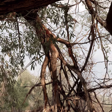 Meetup Fc Sept 2020 09 28 2020 013