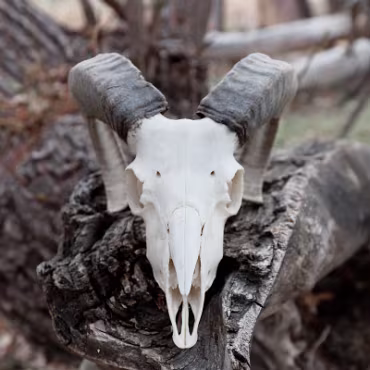 Meetup Fc Sept 2020 09 28 2020 030