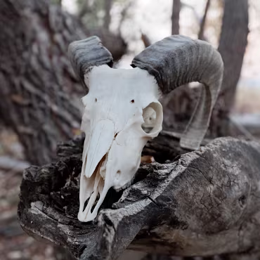 Meetup Fc Sept 2020 09 28 2020 031