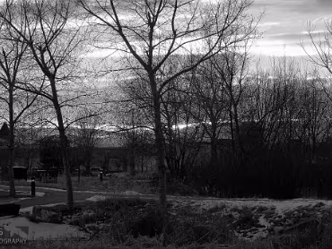 Chapungu Sculpture Park