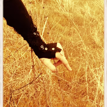 Coral Amber Lambert Colorado 075