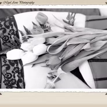 Dangerous Curves The many facits of sara cate as we spend an afternoon photographing/