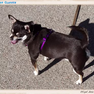 Victoria Shaughnessy We had just a great afternoon walking around the park and doing our photography.