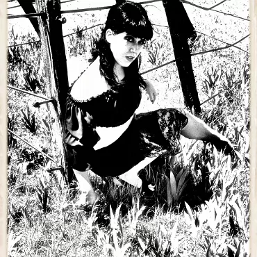 Violettavolare 066