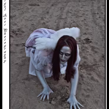 Assortment of Models