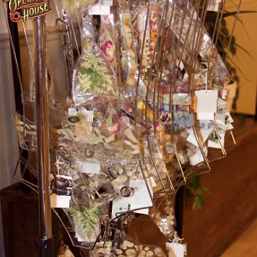 Nigel Aves - Bxi Paradiso-10-07-2023-004