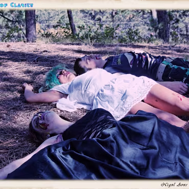 A Day in the Woods A Day in the Woods. Final processing simulating a film cross processing process