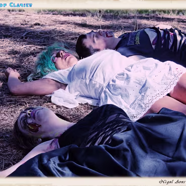 A Day in the Woods A Day in the Woods. Final processing simulating a film cross processing process