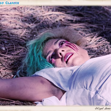 A Day in the Woods A Day in the Woods. Final processing simulating a film cross processing process