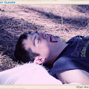 A Day in the Woods A Day in the Woods. Final processing simulating a film cross processing process