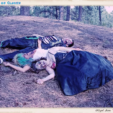 A Day in the Woods A Day in the Woods. Final processing simulating a film cross processing process