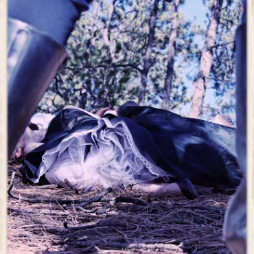 A Day in the Woods A Day in the Woods. Final processing simulating a film cross processing process