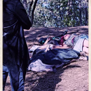 A Day in the Woods A Day in the Woods. Final processing simulating a film cross processing process