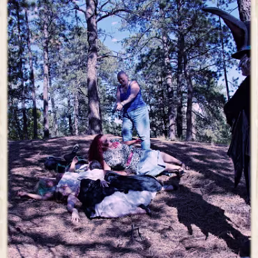 A Day in the Woods A Day in the Woods. Final processing simulating a film cross processing process