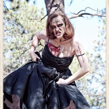 A Day in the Woods A Day in the Woods