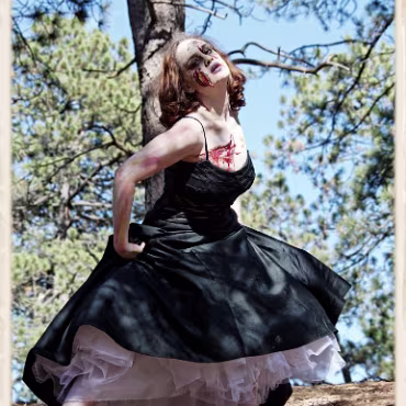 A Day in the Woods A Day in the Woods