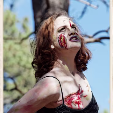 A Day in the Woods A Day in the Woods