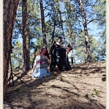 A Day in the Woods A Day in the Woods