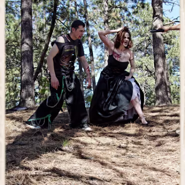 A Day in the Woods A Day in the Woods