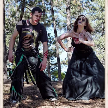 A Day in the Woods A Day in the Woods