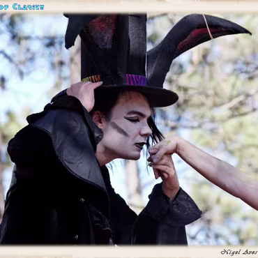 A Day in the Woods A Day in the Woods