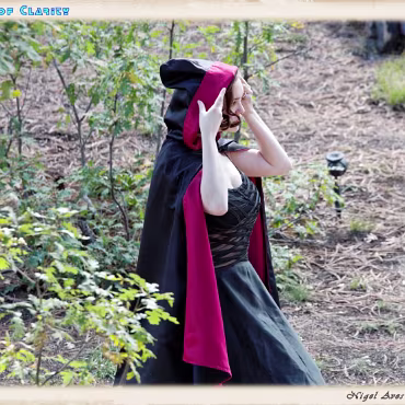 A Day in the Woods A Day in the Woods