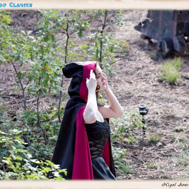 A Day in the Woods A Day in the Woods