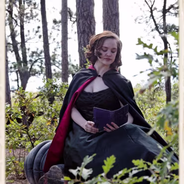 A Day in the Woods A Day in the Woods