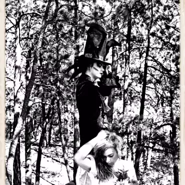 A Day in the Woods A Day in the Woods. Proccesed as high dynamic, high contrast film