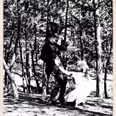 A Day in the Woods A Day in the Woods. Proccesed as high dynamic, high contrast film