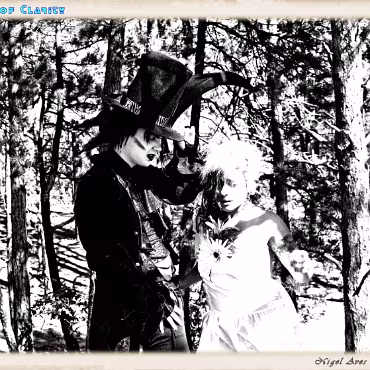 A Day in the Woods A Day in the Woods. Proccesed as high dynamic, high contrast film