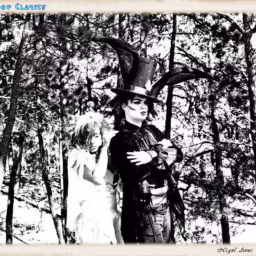 A Day in the Woods A Day in the Woods. Proccesed as high dynamic, high contrast film