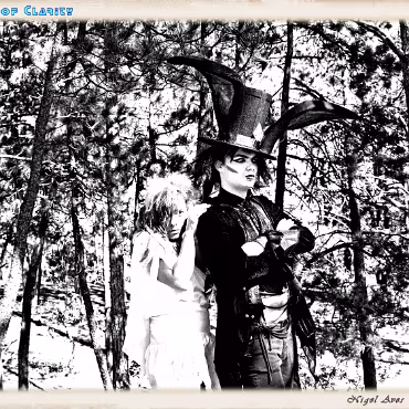 A Day in the Woods A Day in the Woods. Proccesed as high dynamic, high contrast film