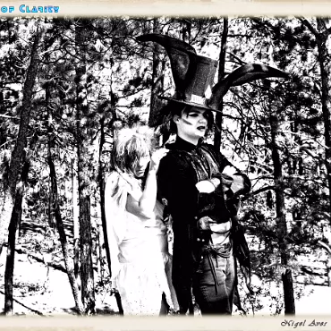 A Day in the Woods A Day in the Woods. Proccesed as high dynamic, high contrast film
