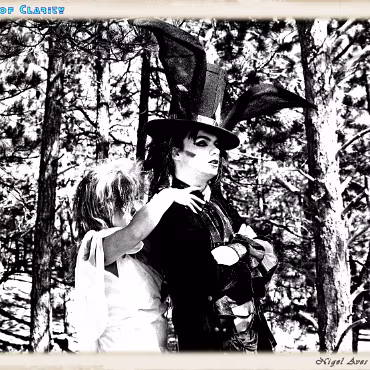 A Day in the Woods A Day in the Woods. Proccesed as high dynamic, high contrast film